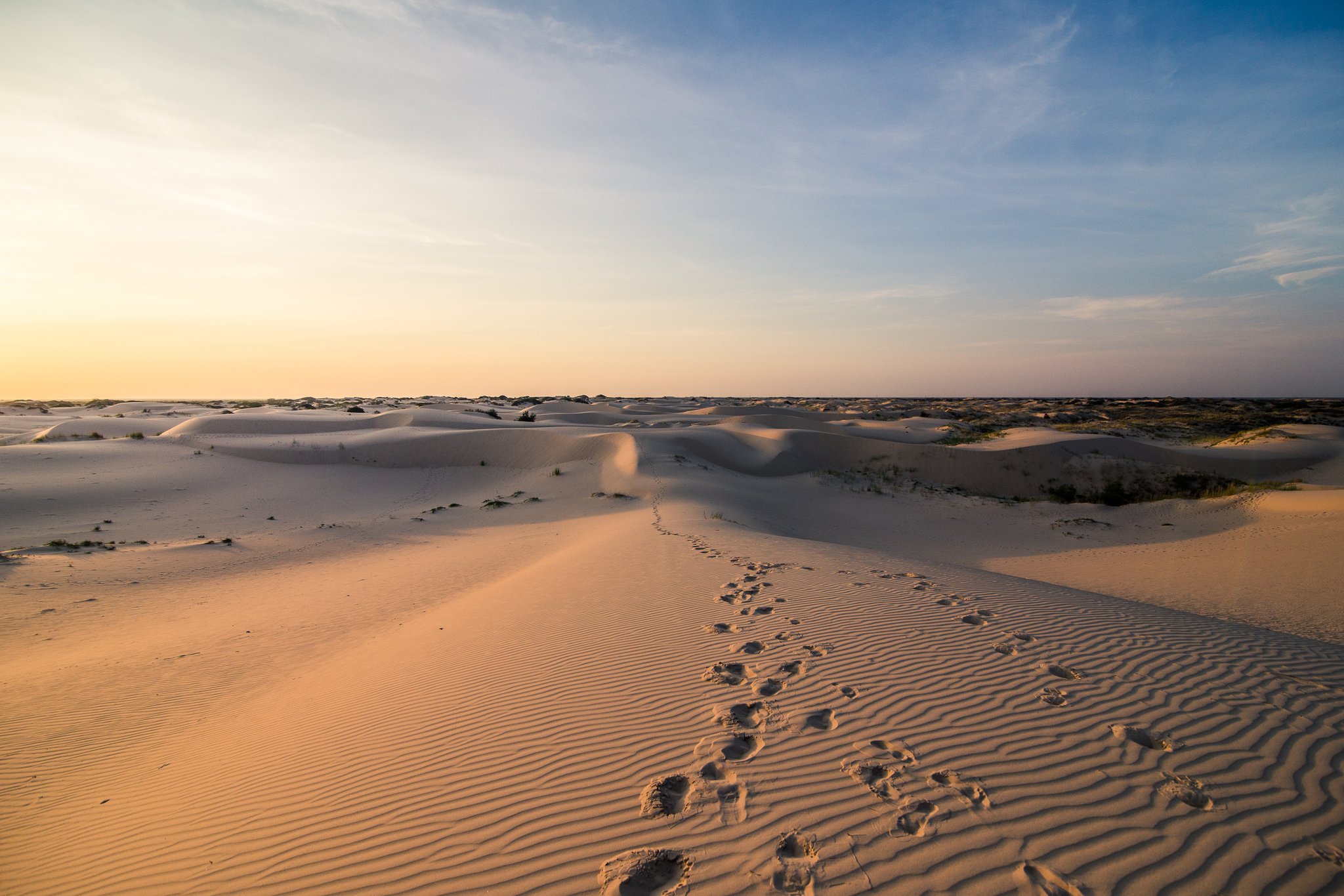Monahans Header Image